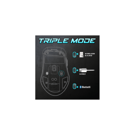 media/mkp/da745a4f4c604f55b8ae87f6bc78a3cc