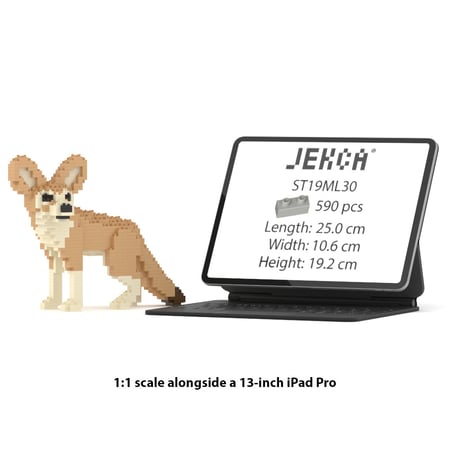 media/mkp/db362a9588344845954a90159bfbac17
