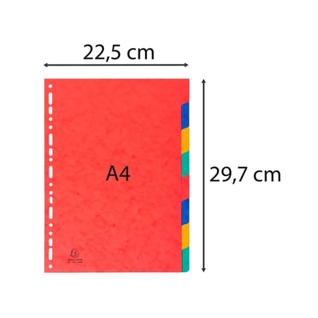 media/mkp/e21ee63a463b439cac0e8f11944d0819