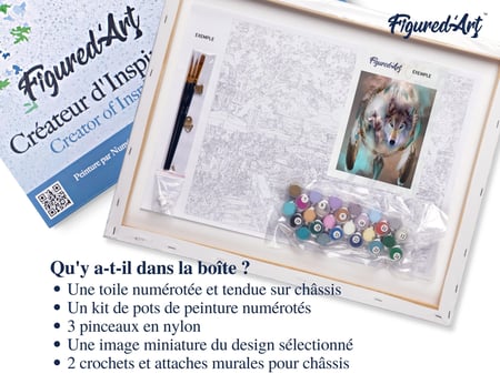 Peinture par Numéro Figured'Art avec Cadre - Loups et Plumes - Kit de Loisir Créatif DIY Numéro d'Art Complet - 40x50cm toile tendue sur châssis