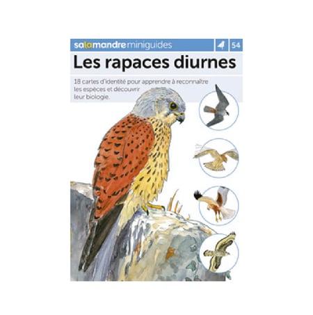 media/mkp/ebea258aa8c44749b878d833bf7f089e