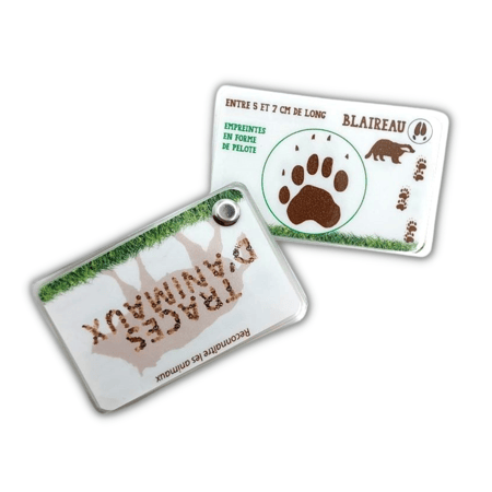 Carnet Traces d'animaux