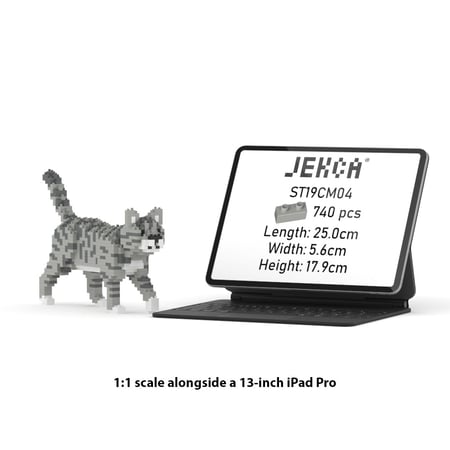 media/mkp/efee77d9617e4860a56e6ef82d4d5cb9