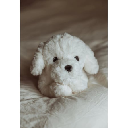 media/mkp/f178ce19866c4897bd79236347b190ec