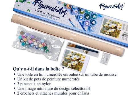 Peinture par Numéro Figured'Art - Champ de Marguerites - Kit de Loisir Créatif DIY Numéro d'Art Complet - 40x50cm sans châssis en bois