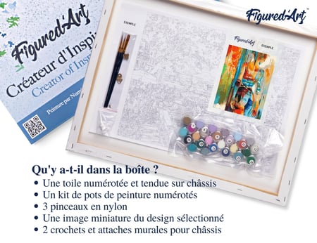 Peinture par Numéro Figured'Art avec Cadre - Beauté en couleurs - Kit de Loisir Créatif DIY Numéro d'Art Complet - 40x50cm toile tendue sur châssis