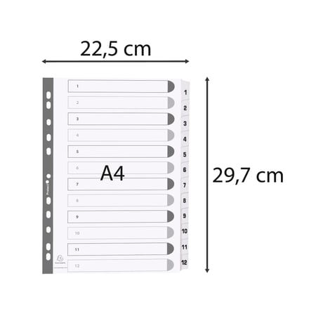 media/mkp/f5e4d973fceb40389f99c0fd8119f628