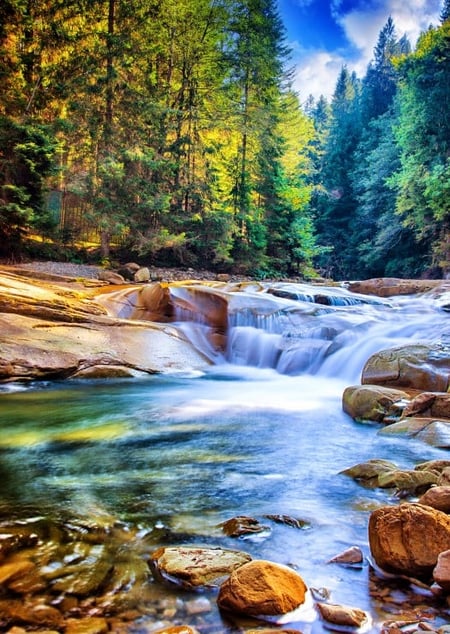 Puzzle 2000 pièces - Belle Cascade dans la Forêt - Grafika