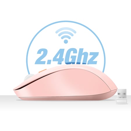 media/mkp/f7ac2adae3d9485a9b43f439ab09c616
