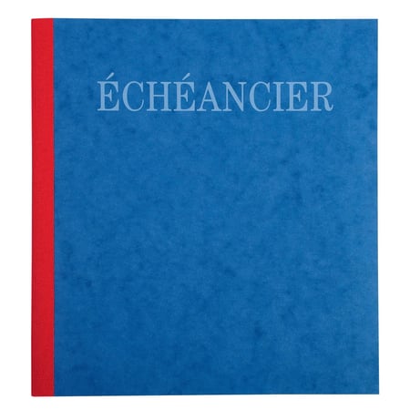 Piqûre 21x19cm échéancier tracé journal 80 pages - Couleurs assorties - x 5 - Exacompta