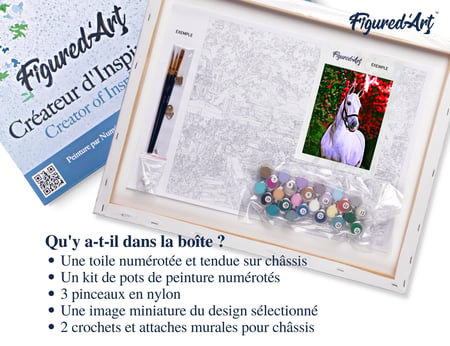 Peinture par Numéro Figured'Art avec Cadre - Cheval et fond coloré - Kit de Loisir Créatif DIY Numéro d'Art - 40x50cm toile tendue sur châssis
