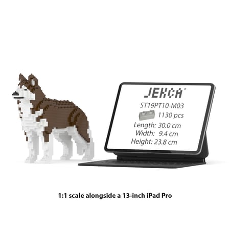 media/mkp/ff1343a5e934488dbfa54149502d165e