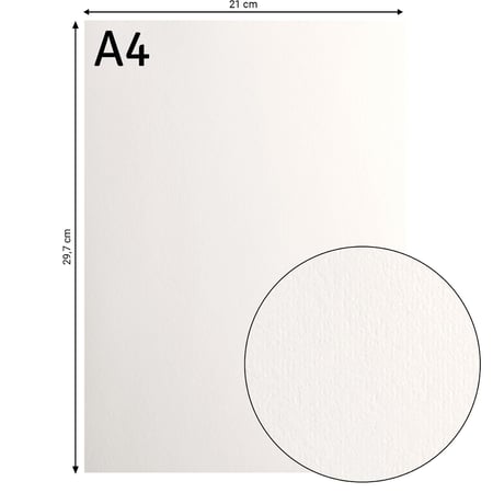 media/mkp/ffe4711b8300412eae0e11197dbbdf42