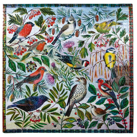 Puzzle adulte 1000 pièces Nature - Oiseaux et Insectes