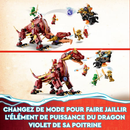 media/pim/0_10020913_8_30_FR.jpg