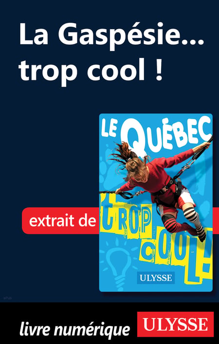 media/pim/0_metadata-image-50947025.jpeg