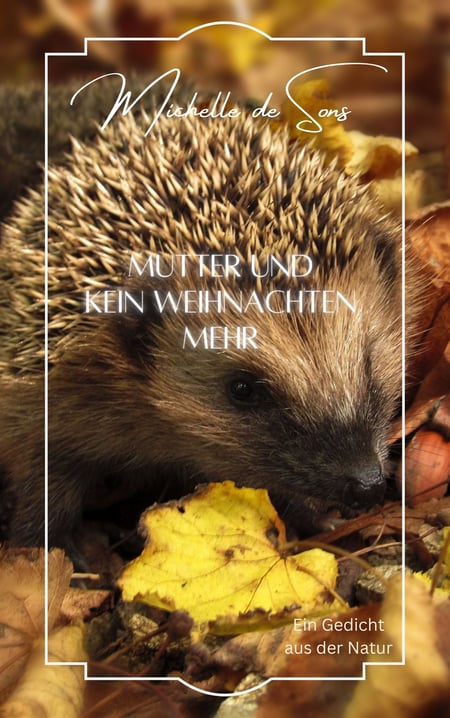 media/pim/0_metadata-image-71059057.jpeg