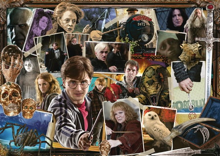 media/pim/1000p-harry-potter-contre-voldemort-1000p-4005556151707_15.jpg