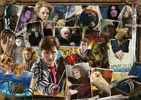media/pim/1000p-harry-potter-contre-voldemort-1000p-4005556151707_2.JPG