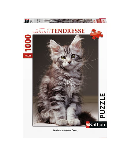 media/pim/1000p-le-chaton-maine-coon-4005556876433_0.jpg
