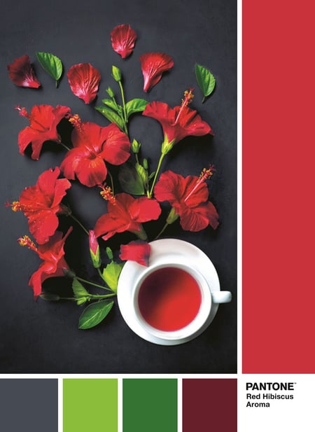media/pim/1000p-pantone-paon-8005125394944_6.jpg