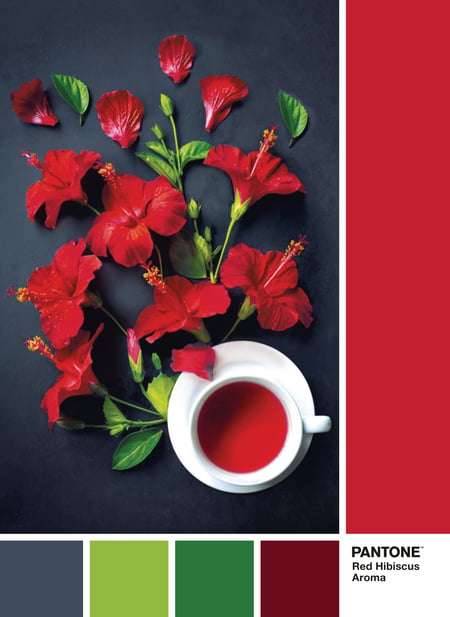 media/pim/1000p-pantone-paon-8005125394944_8.jpg