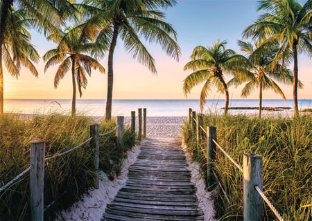 media/pim/1000p-plage-de-floride-4005556875474_8.jpg