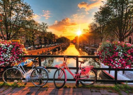 media/pim/1000p-velos-a-amsterdam-4005556196067_2.JPG