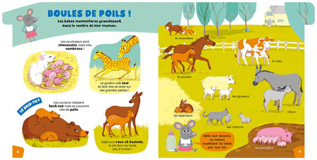 media/pim/10018260_image_type_product_shot_MDS_1_FR_0ca06