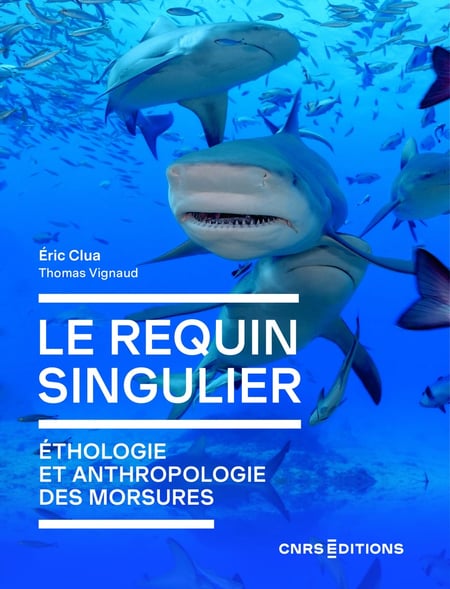 Le requin : Écologie d'un prédateur