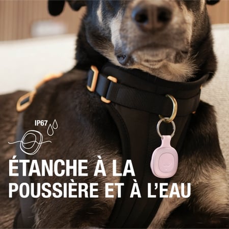 media/pim/10365063_48u4fqt6_6