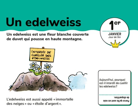 media/pim/10410453_t4e04vuz_5_cfdf6