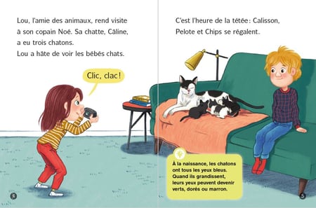media/pim/10424968_11fsai7o_2_e68a7
