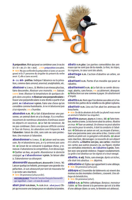 media/pim/10434152_xaqa8e08_2_ff6dc
