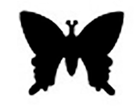 media/pim/10443272_1v24595r_1