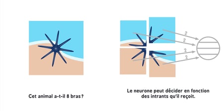 media/pim/10469276_image_type_product_shot_INTERFORUM_2_FR_dd0c0