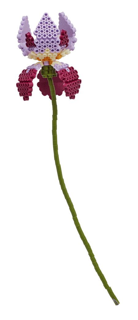 media/pim/10556907_h3zinbl4_2