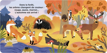 media/pim/10613068_image_type_product_shot_HACHETTE_2_FR_79311