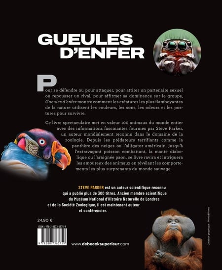 media/pim/10643300_q4ttn3ui_2
