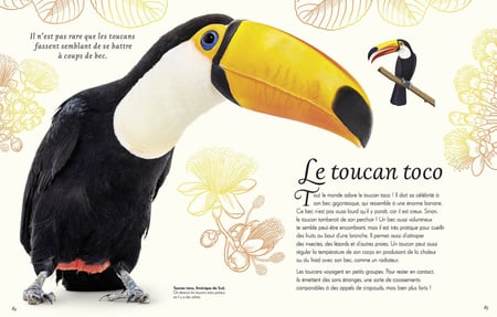 media/pim/10646407_image_type_product_shot_FOUR_non_TRANSCODE_2_FR_d16fb