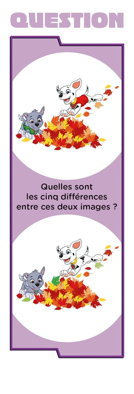 media/pim/10902545_1nxdkgil_7_b77f4