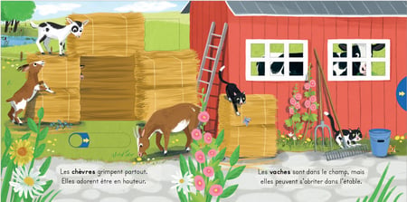 media/pim/10962767_5abzvdro_2_6669d