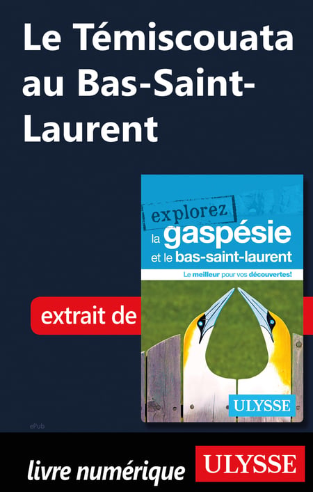 media/pim/10_metadata-image-51511052.jpeg