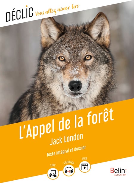 L'Appel de la forêt : Jack London - 9791035817244 - Ebook