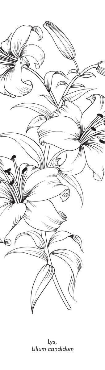 media/pim/11328297_image_type_product_shot_FOUR_non_TRANSCODE_4_FR