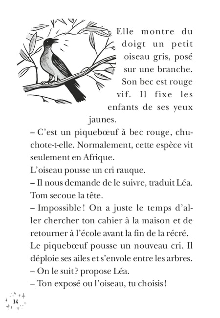 media/pim/11727570_4xcfvpah_5_be4ec