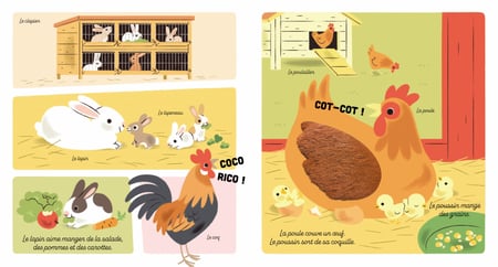 media/pim/11963514_image_type_product_shot_FOUR_non_TRANSCODE_2_FR_26970