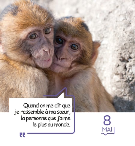 media/pim/11966581_135p7aya_5_14e36