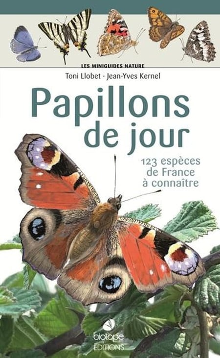 Les miniguides nature : Papillons de jour  : 123 espèces de France à connaître