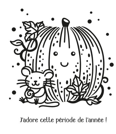 media/pim/12068970_tjqk4lmc_5_fa850